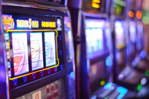 togelup 80901 Bingo